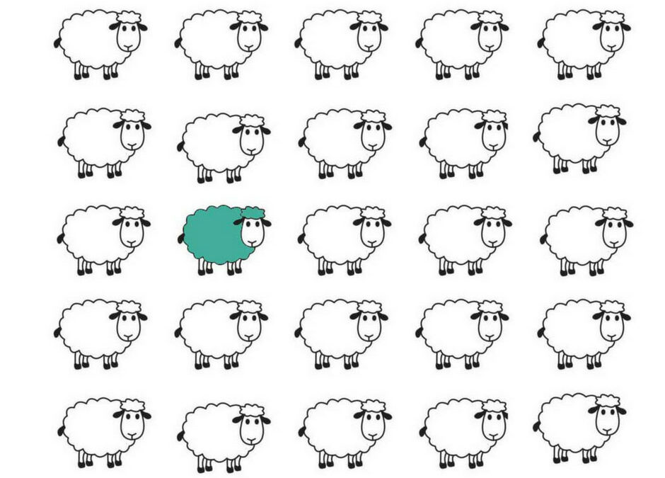 sheep-herd-cartoon-illustration