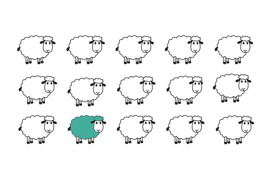 sheep-green-illustration