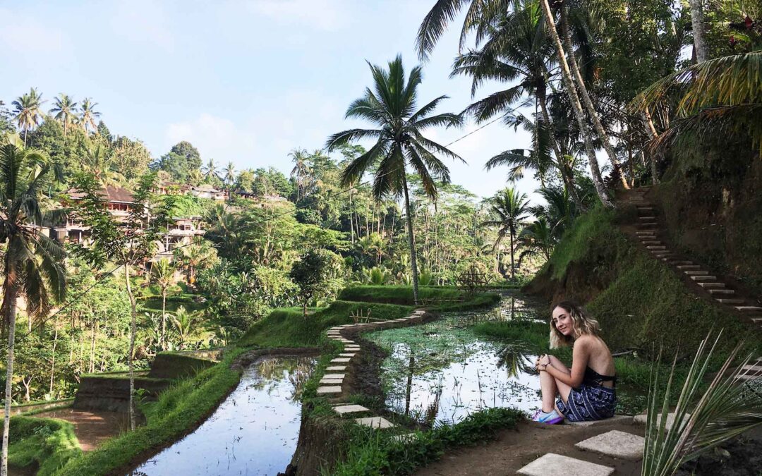 intern-ubud-bali-ubud-rice-field