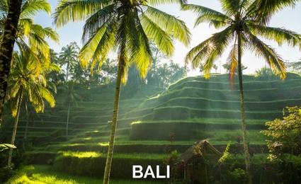 BALI